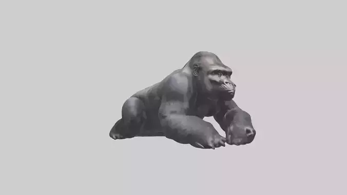 Mountain Gorilla sitting model