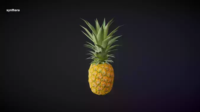 Pineapple 01