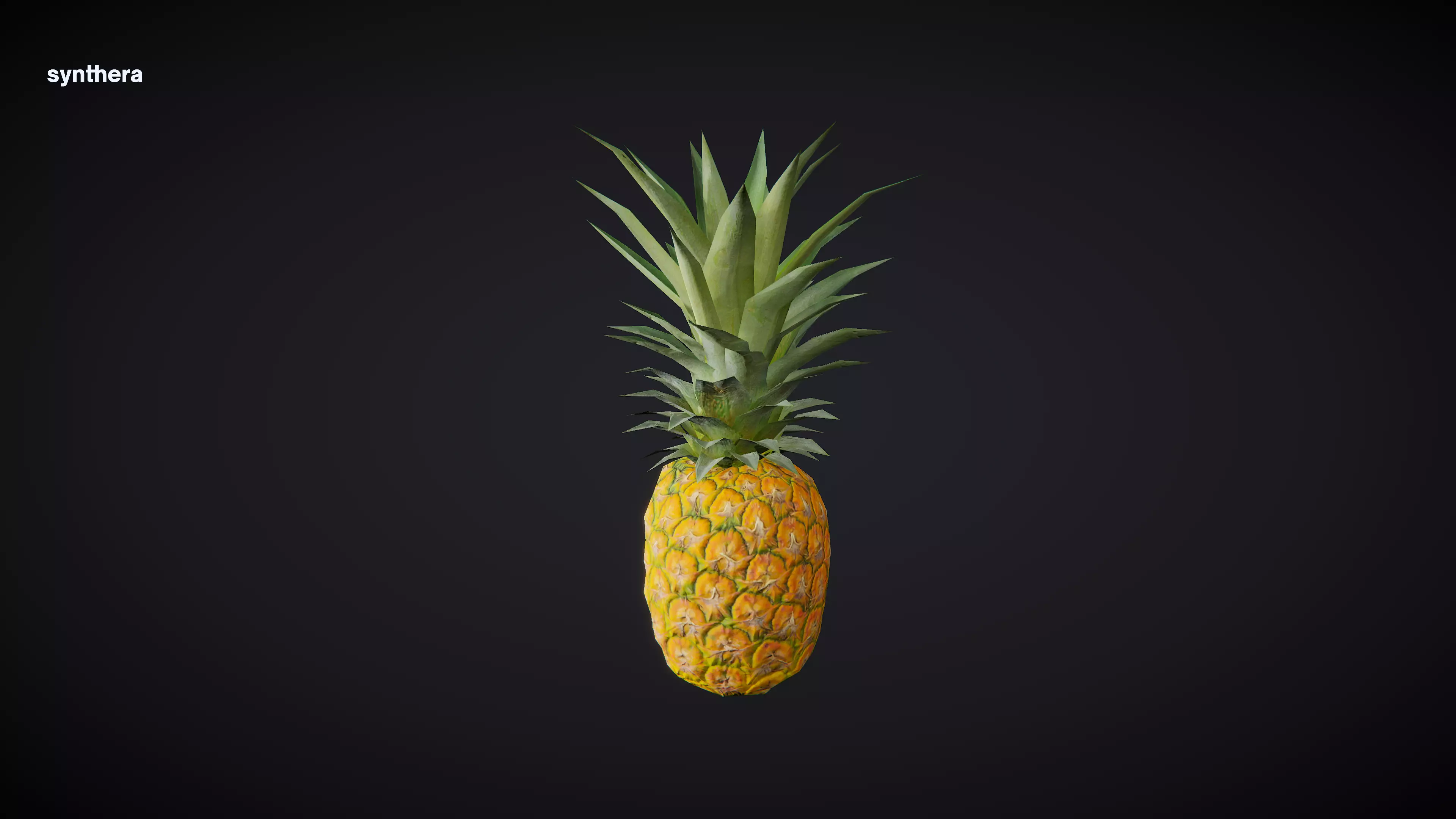Pineapple 01 3D model_0