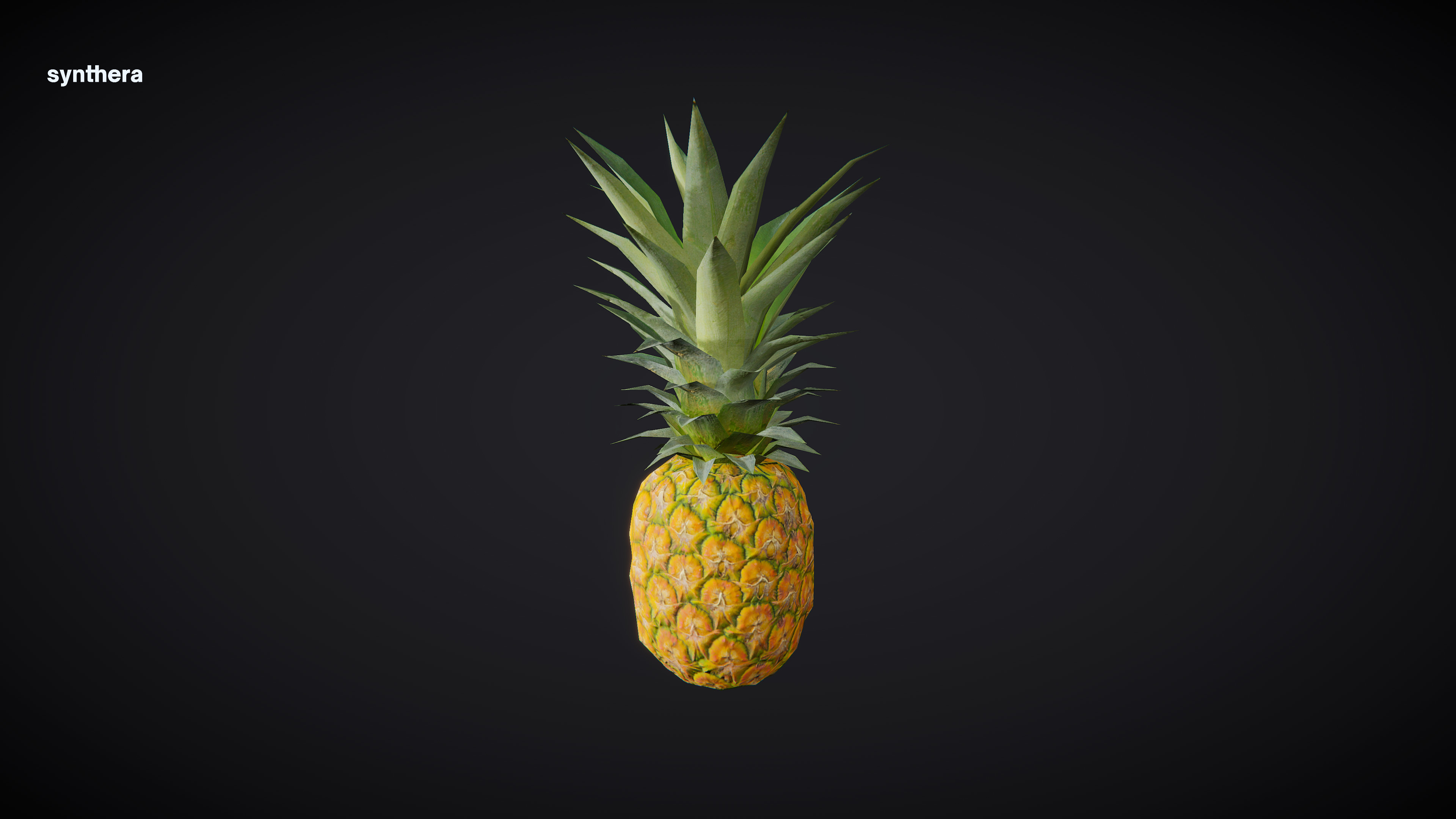 Pineapple 01 3D model_4
