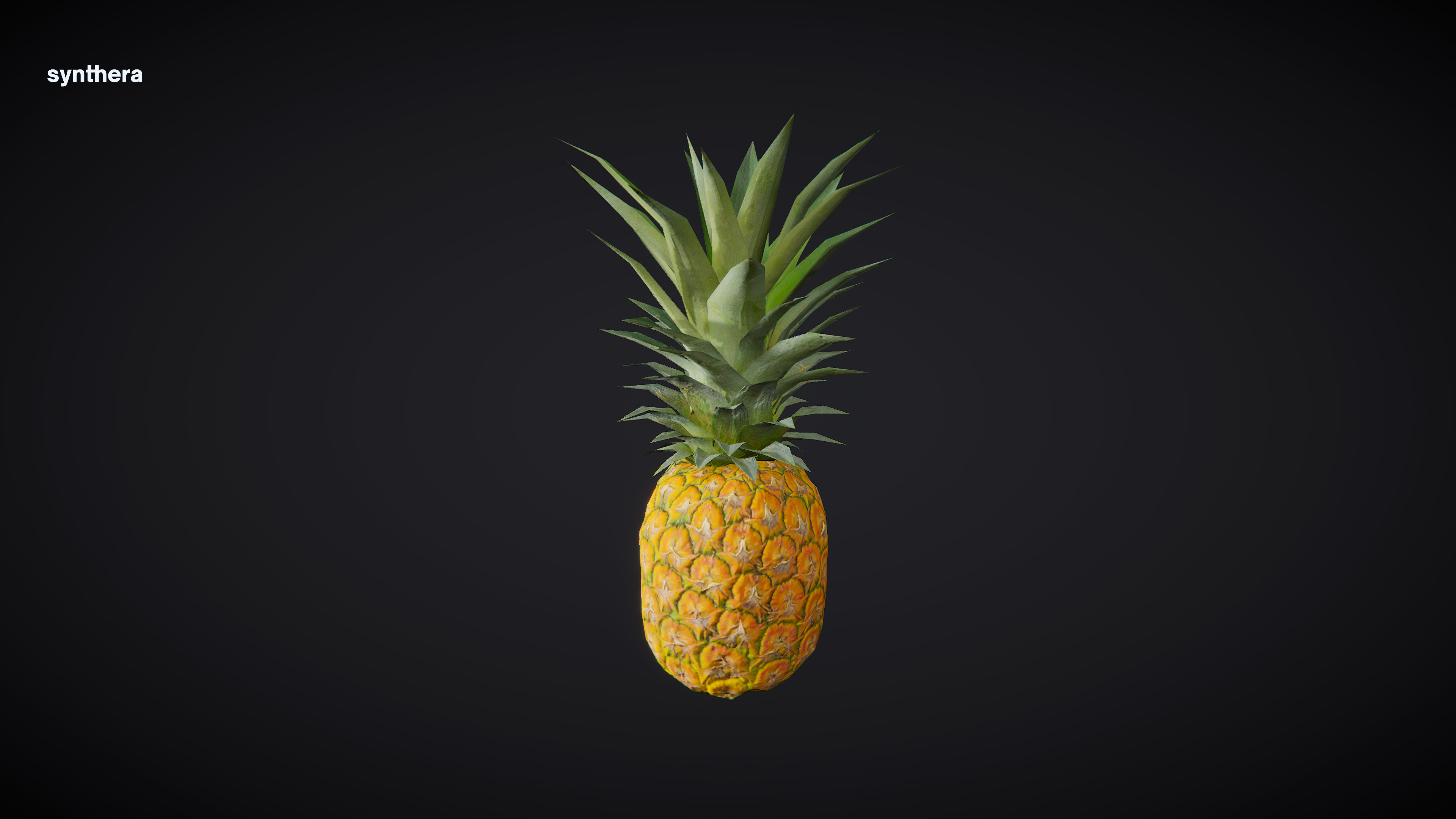 Pineapple 01 3D model_2