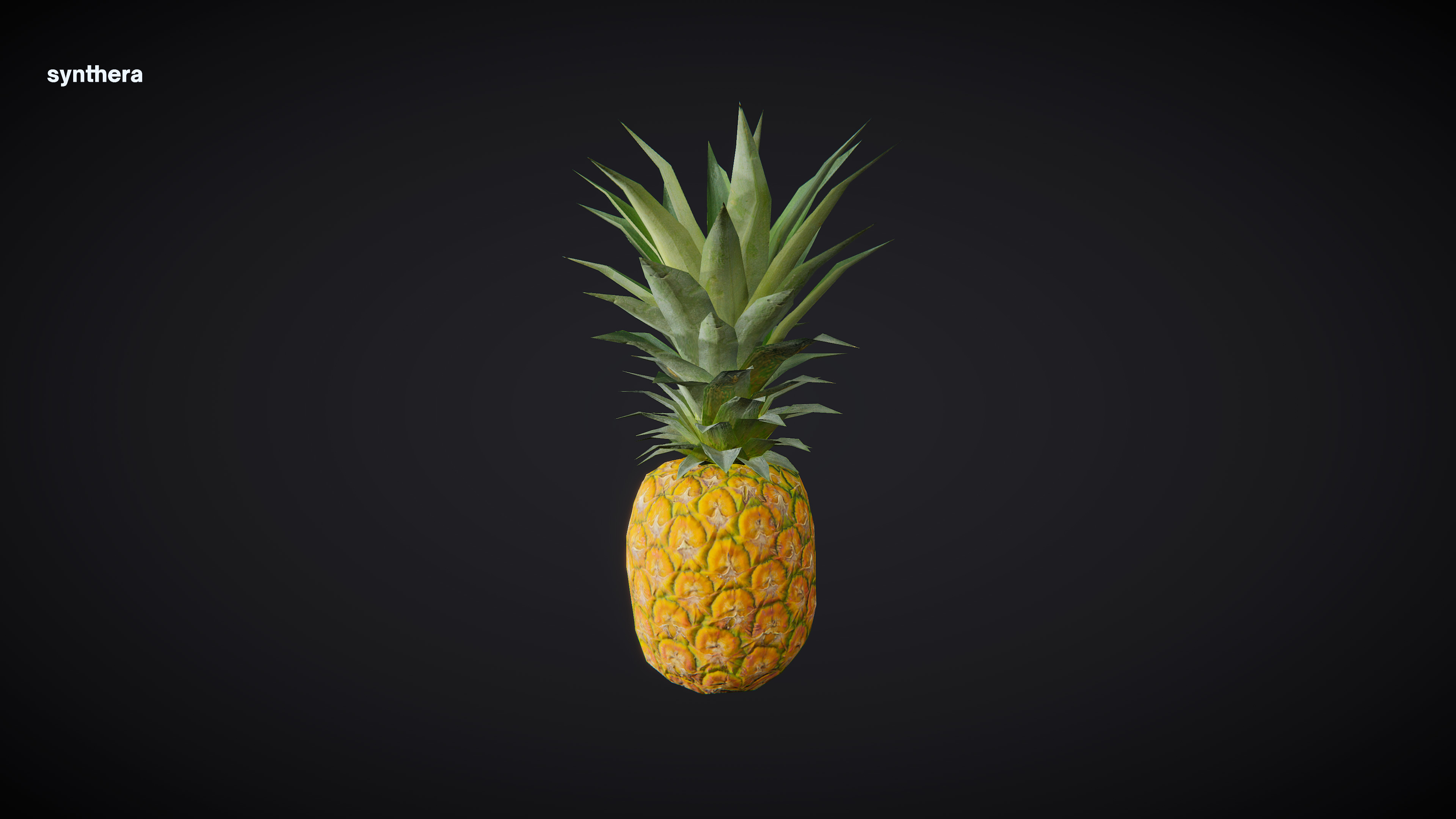 Pineapple 01 3D model_5
