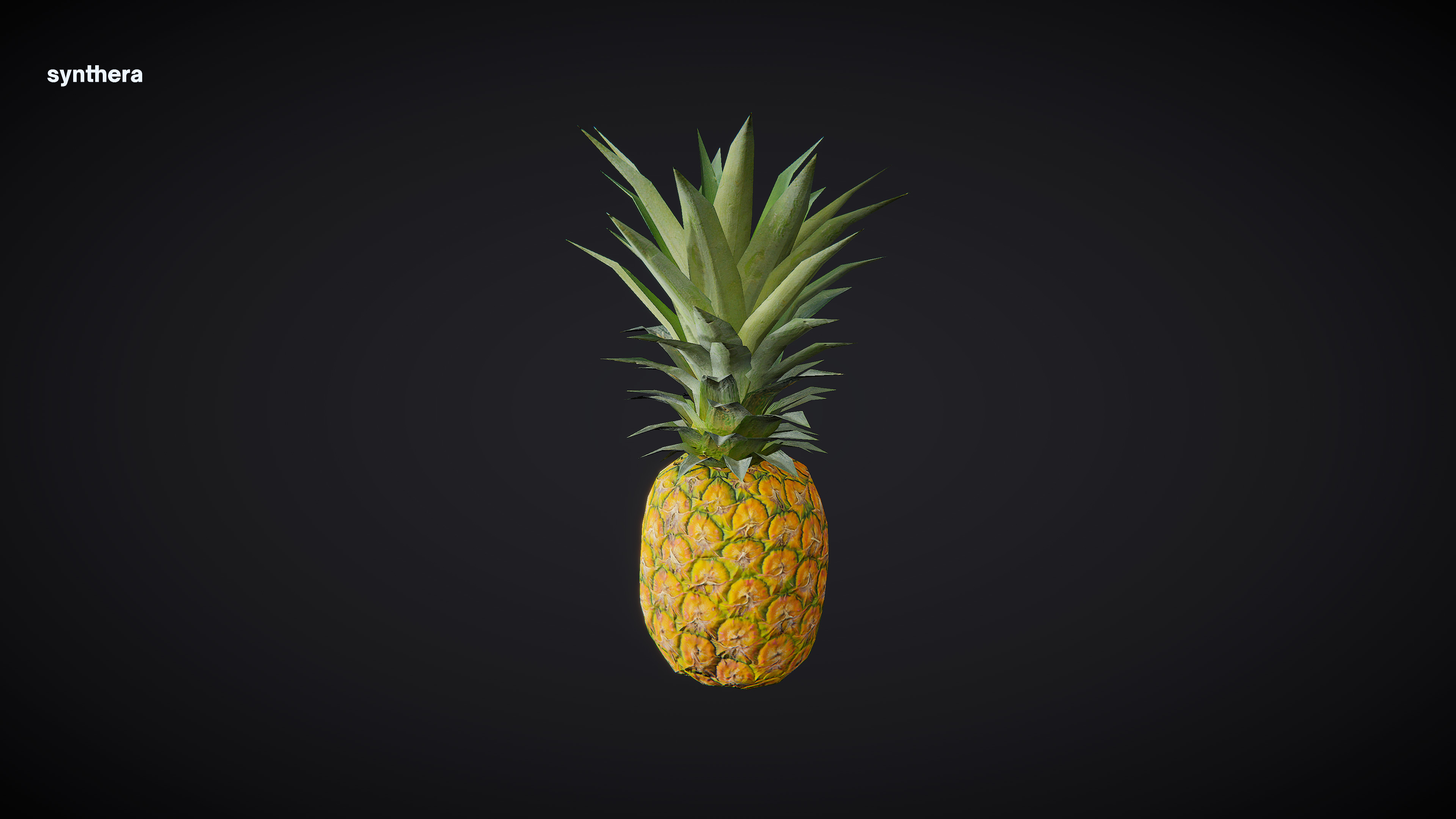 Pineapple 01 3D model_3