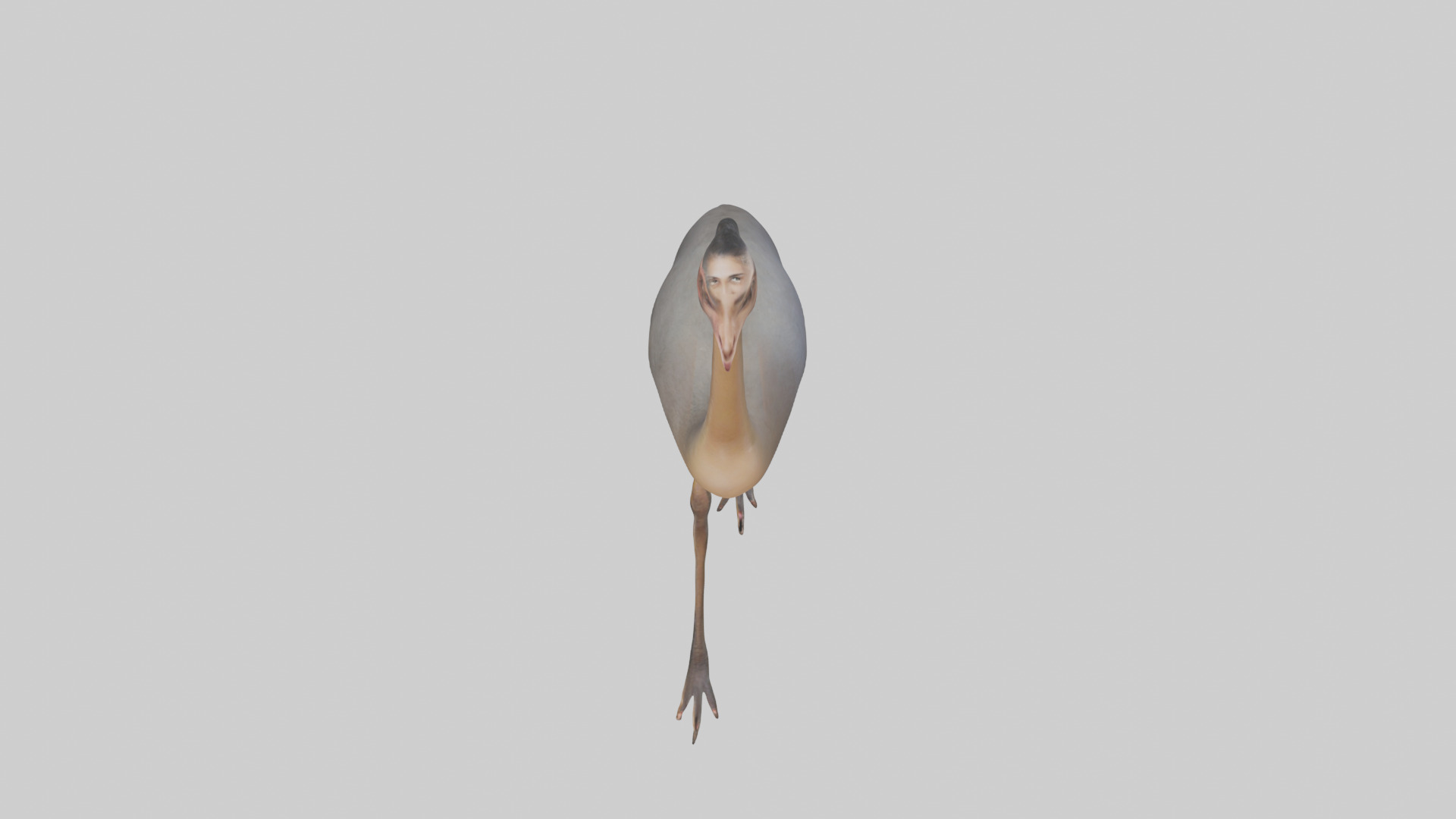 Nandu Rhea walking model Low-poly 3D model_16