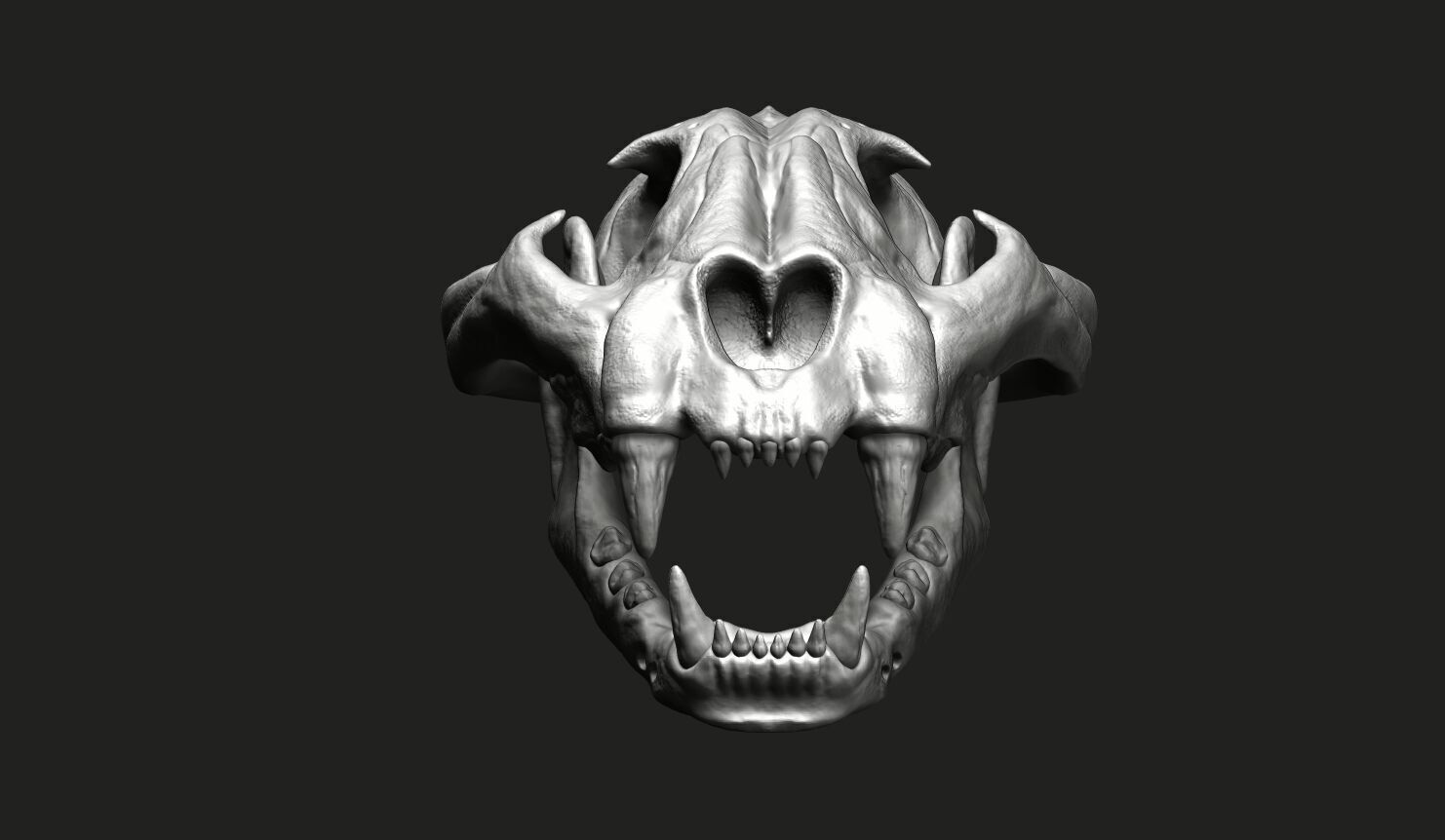 Cheetah Skull 3D model_1