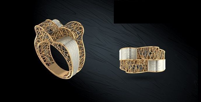 Twin ring 3D model_3