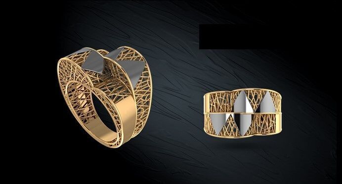 Twin ring 3D model_20