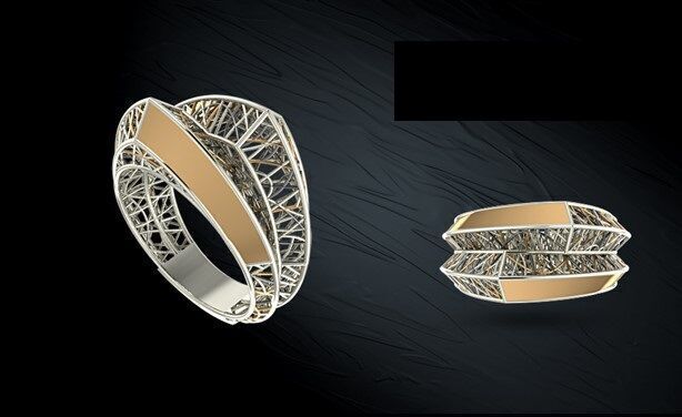 Twin ring 3D model_28