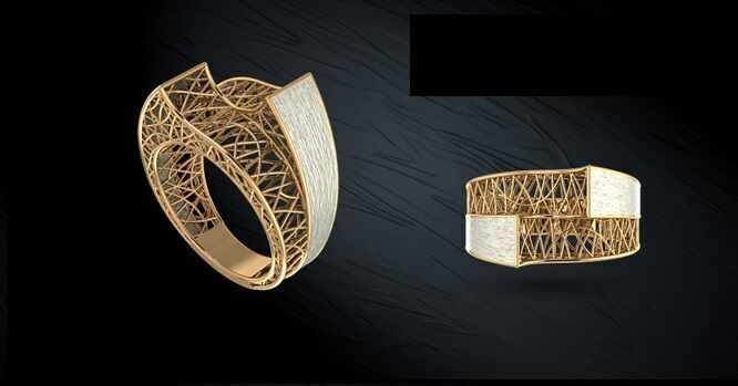 Twin ring 3D model_6