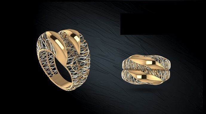 Twin ring 3D model_44