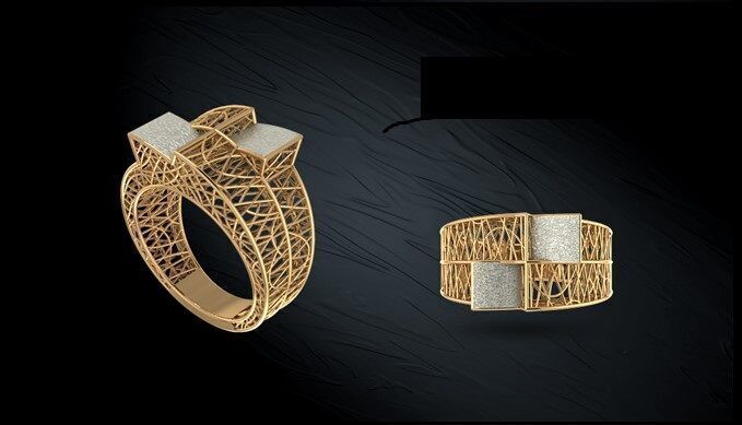 Twin ring 3D model_46