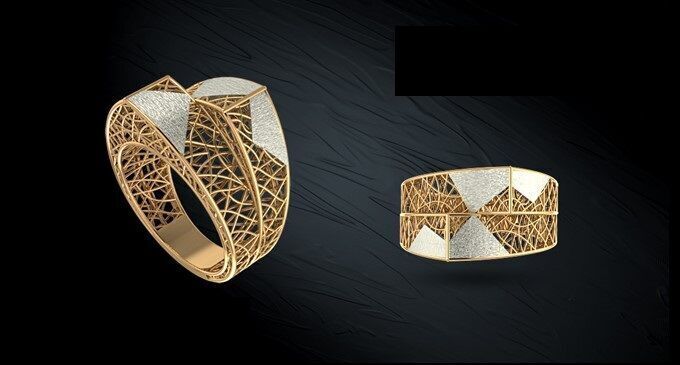 Twin ring 3D model_27