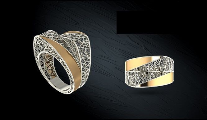 Twin ring 3D model_11