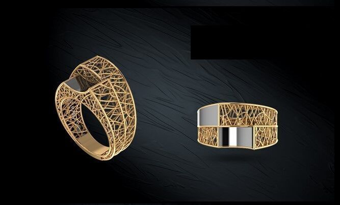 Twin ring 3D model_9