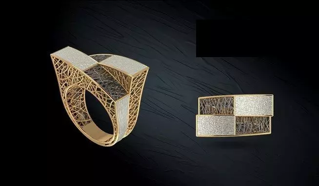 Twin ring 3D model_0