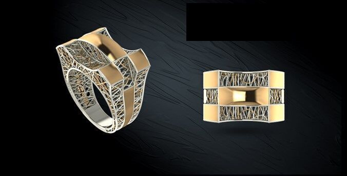 Twin ring 3D model_32