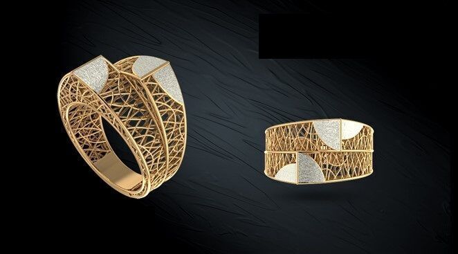 Twin ring 3D model_50
