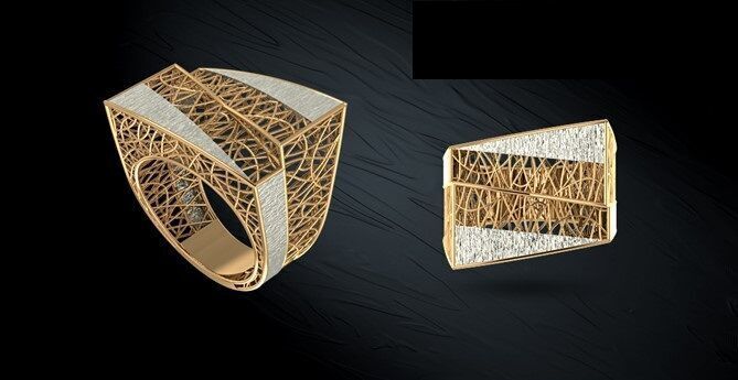 Twin ring 3D model_4