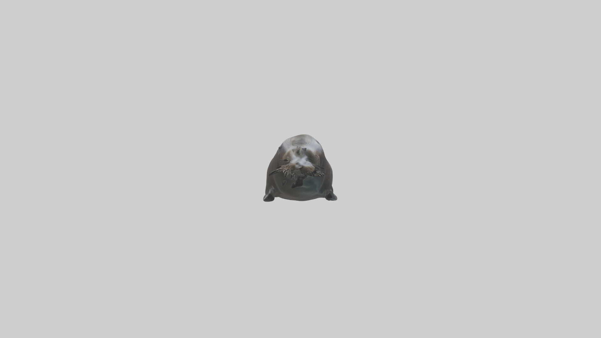 Northern Fur Seal swimming model Low-poly 3D model_13