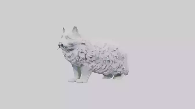 Norwegian Forest Cat statue model