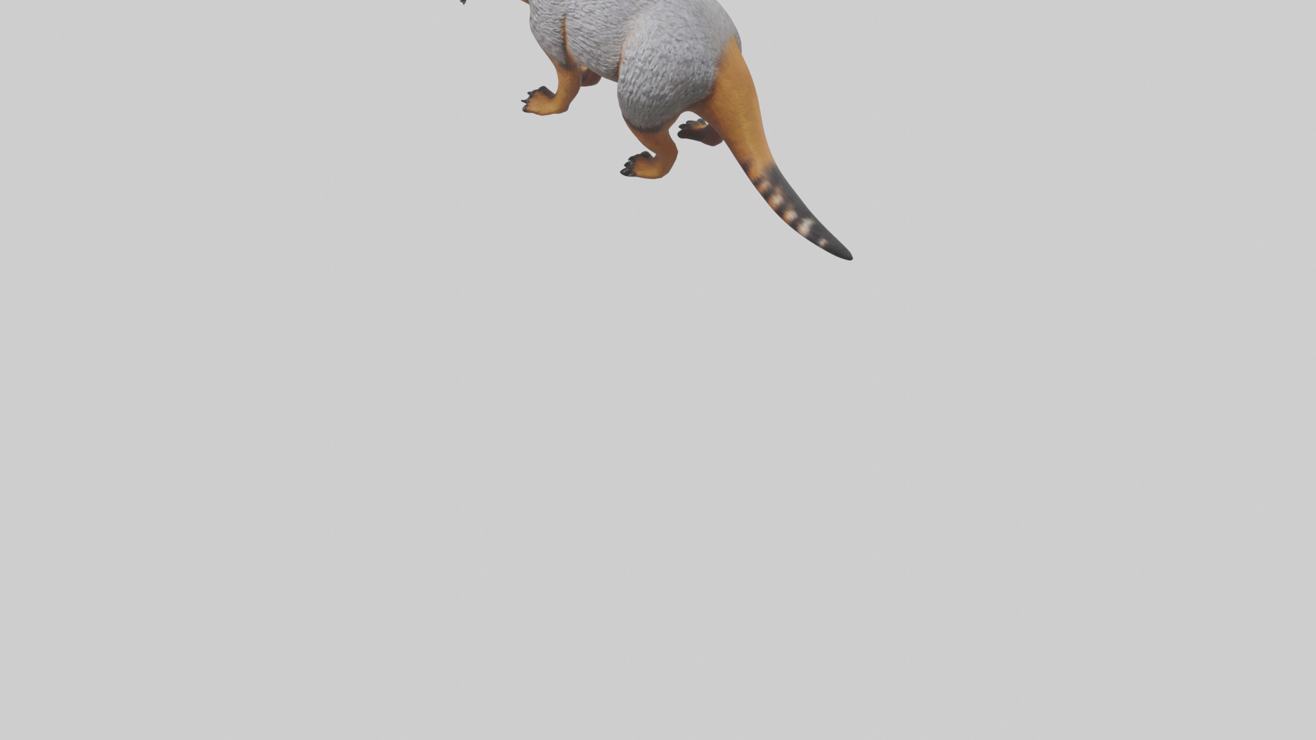 Numbat sniffing model Low-poly 3D model_6