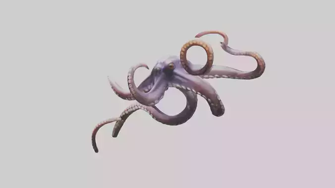 Octopus Tentacles Model