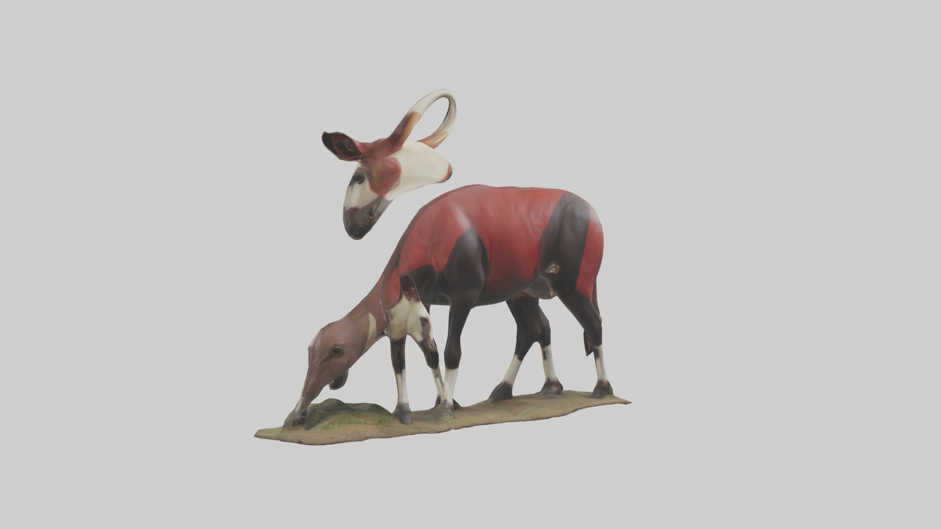 Okapi foraging model Low-poly 3D model_11