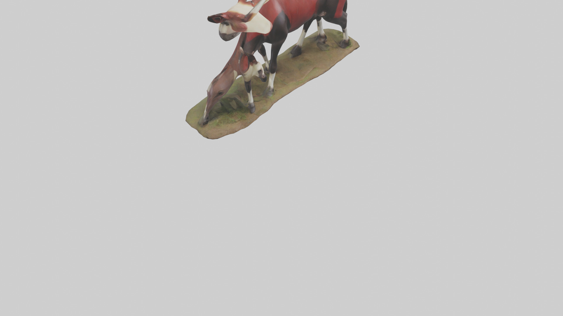 Okapi foraging model Low-poly 3D model_6