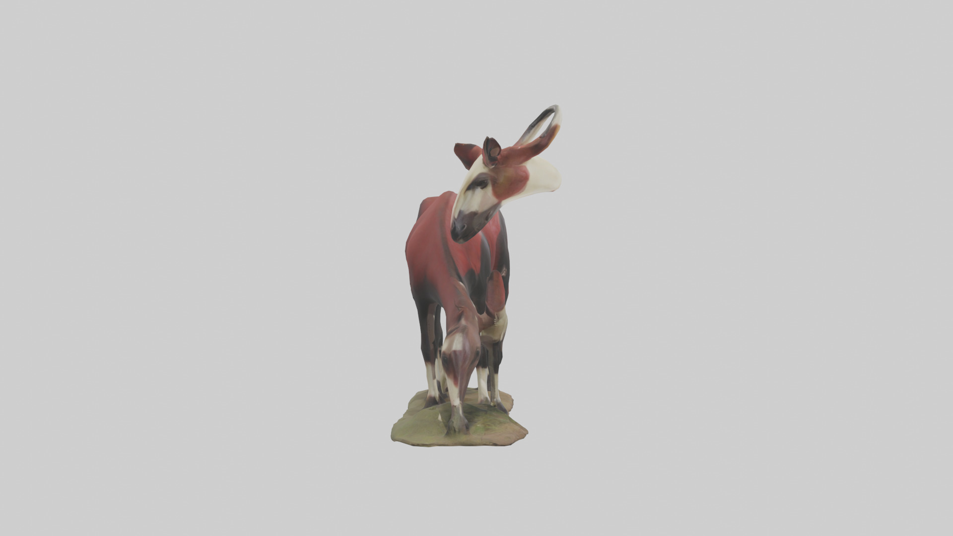 Okapi foraging model Low-poly 3D model_13