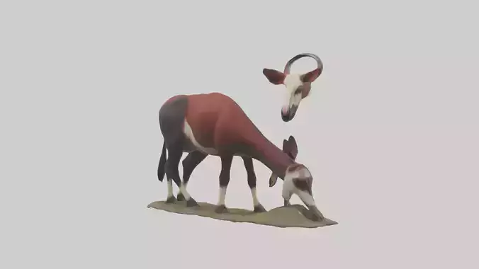 Okapi foraging model