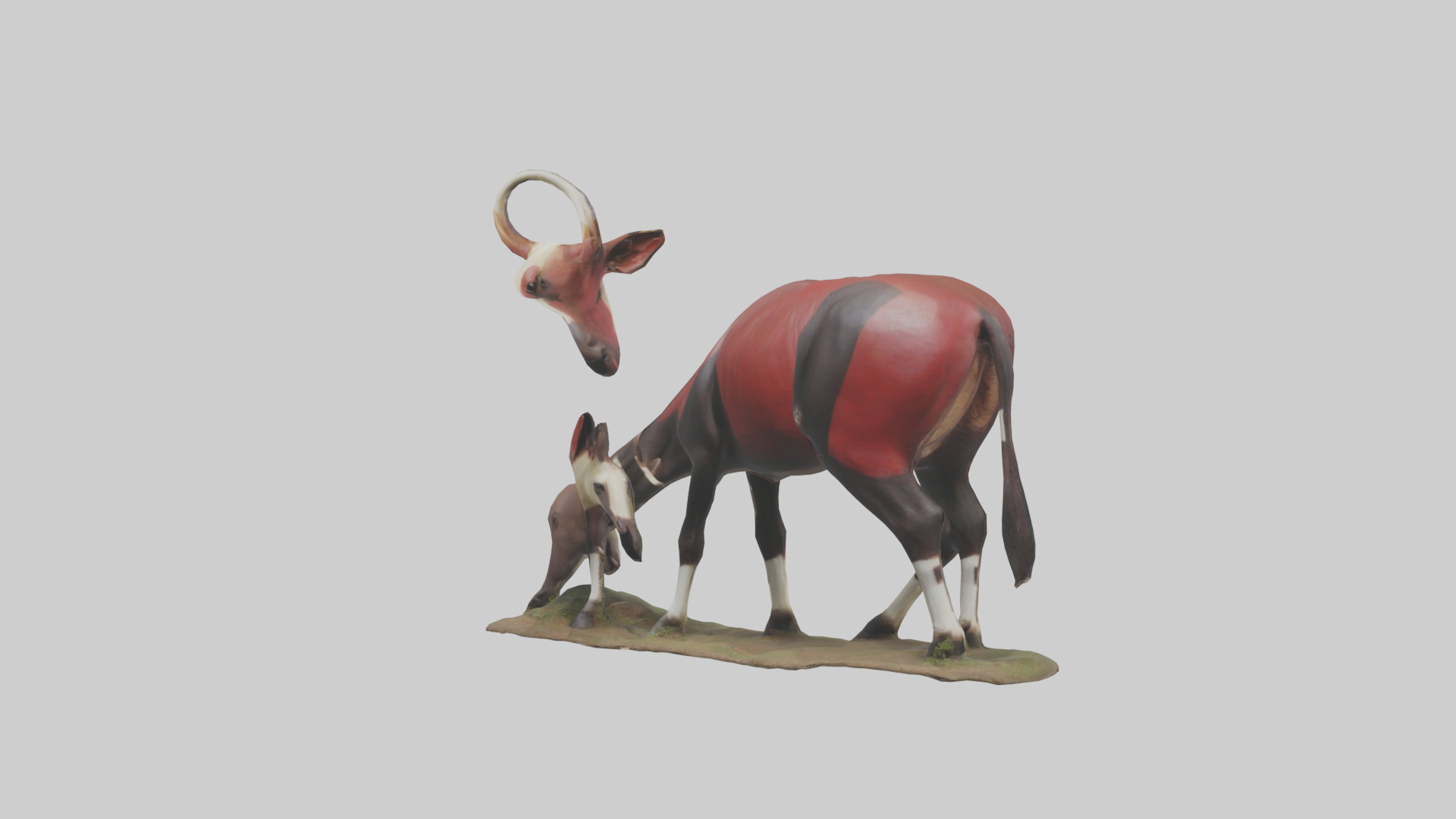 Okapi foraging model Low-poly 3D model_8