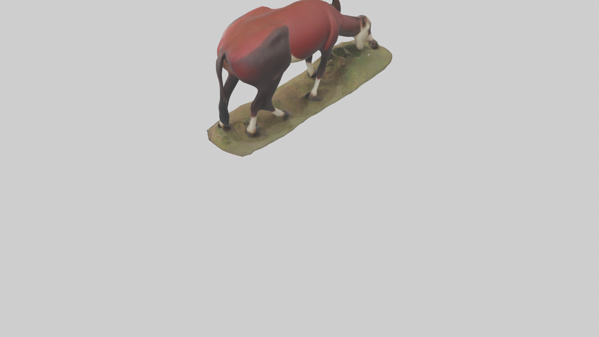 Okapi foraging model Low-poly 3D model_3