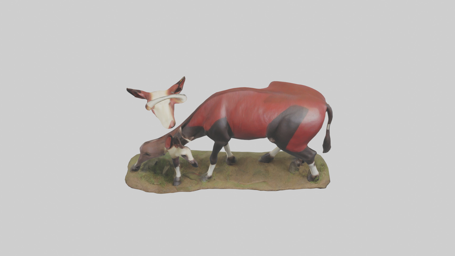 Okapi foraging model Low-poly 3D model_16