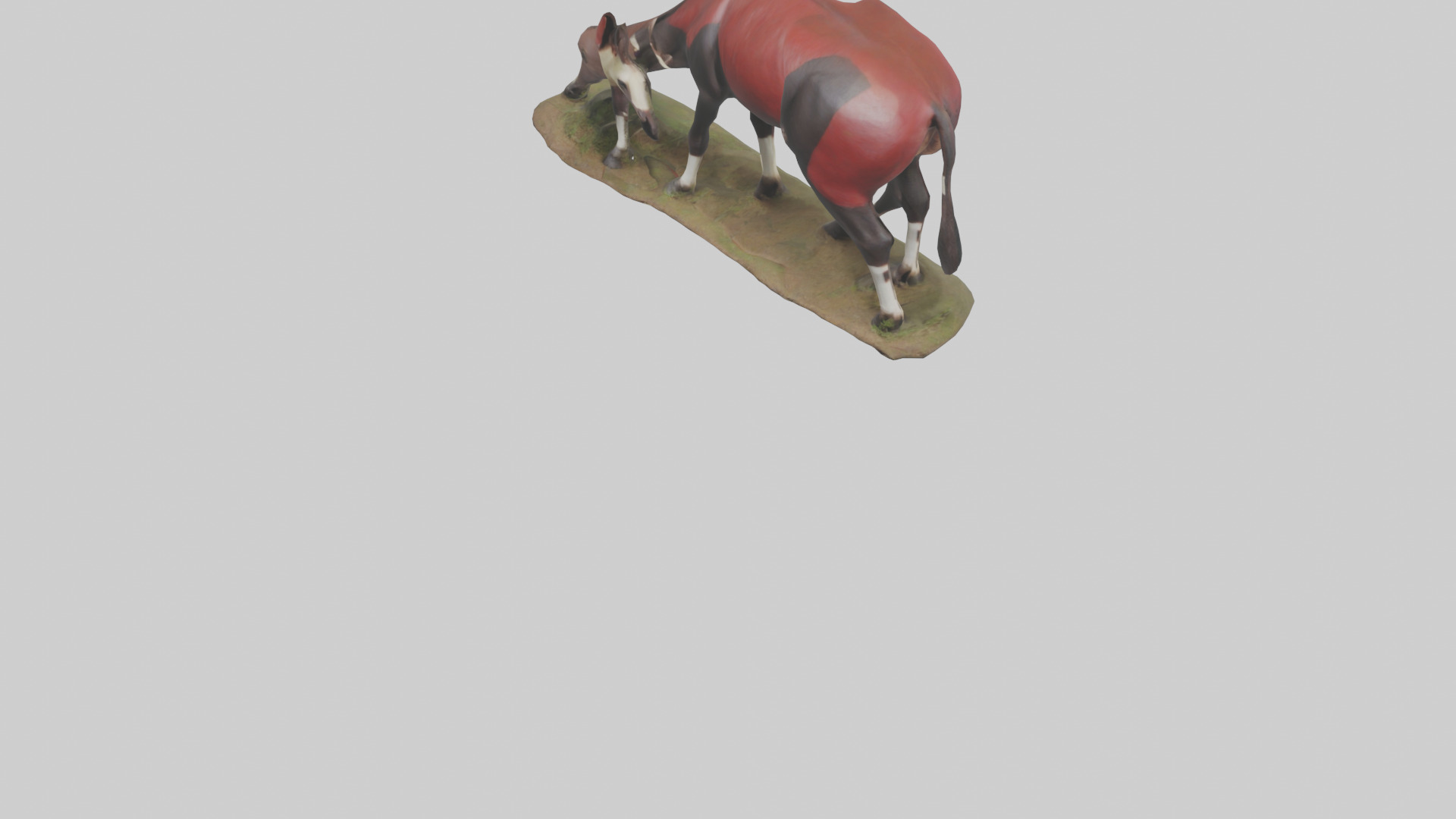 Okapi foraging model Low-poly 3D model_5