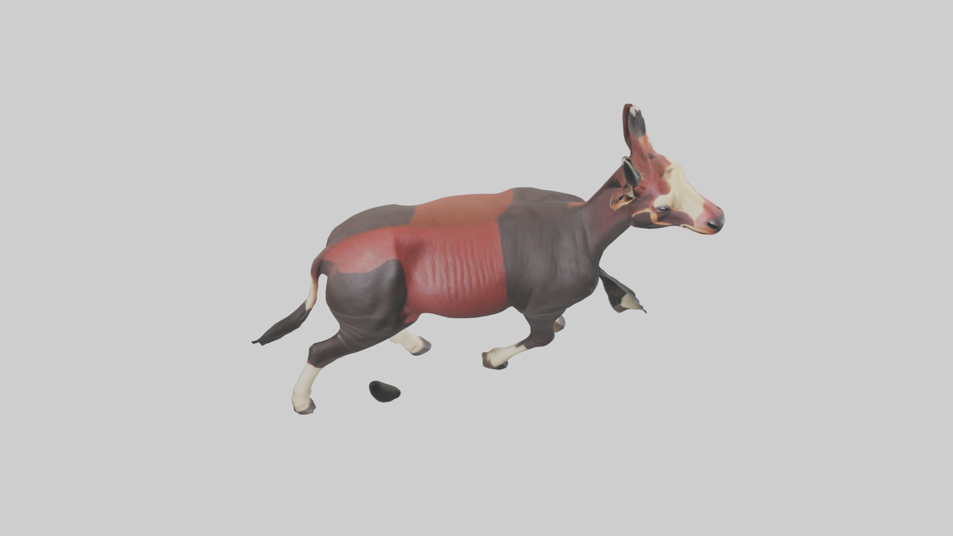Okapi walking model Low-poly 3D model_16