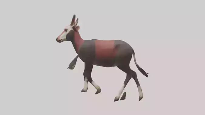 Okapi walking model