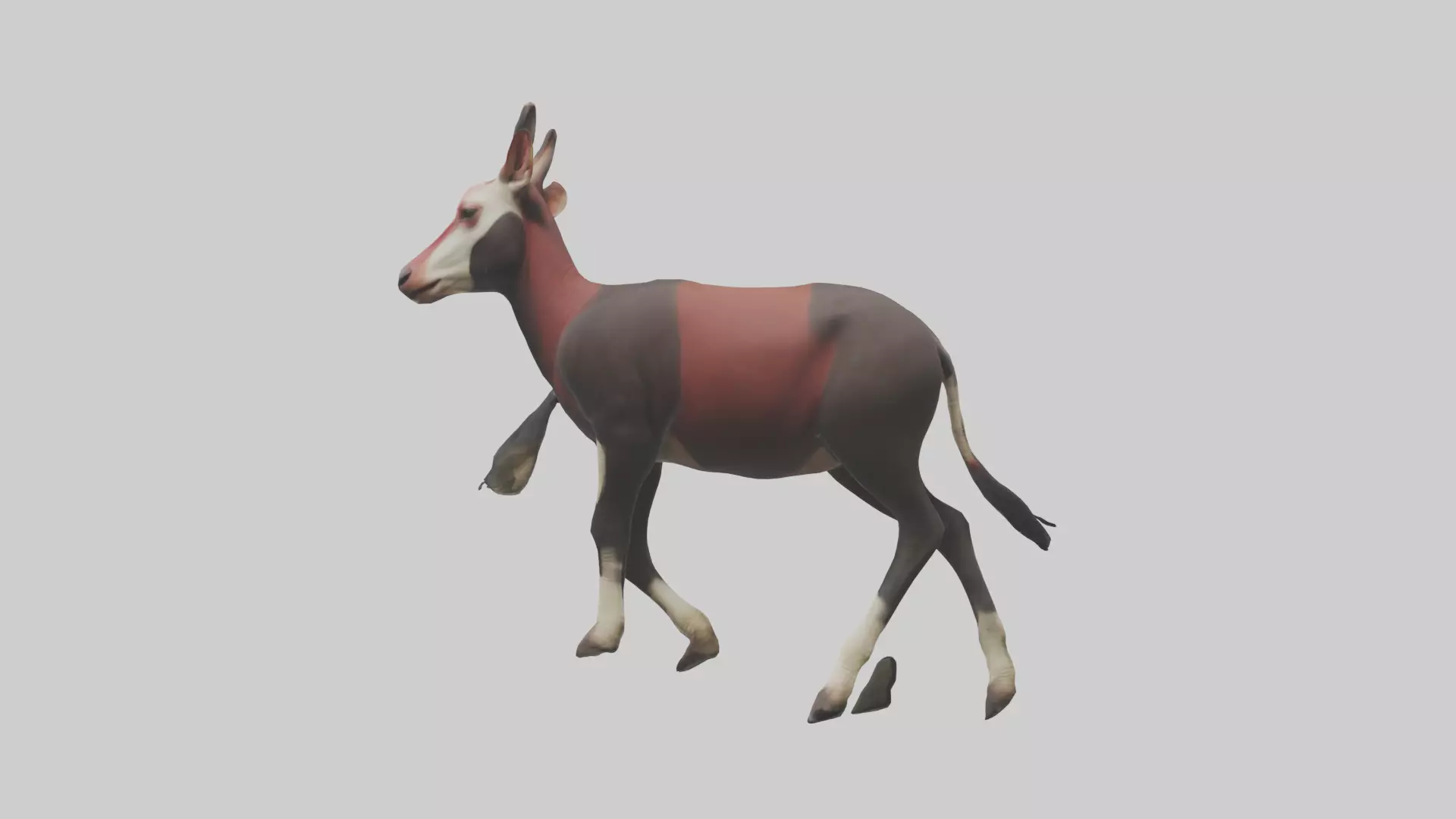 Okapi walking model Low-poly 3D model_0