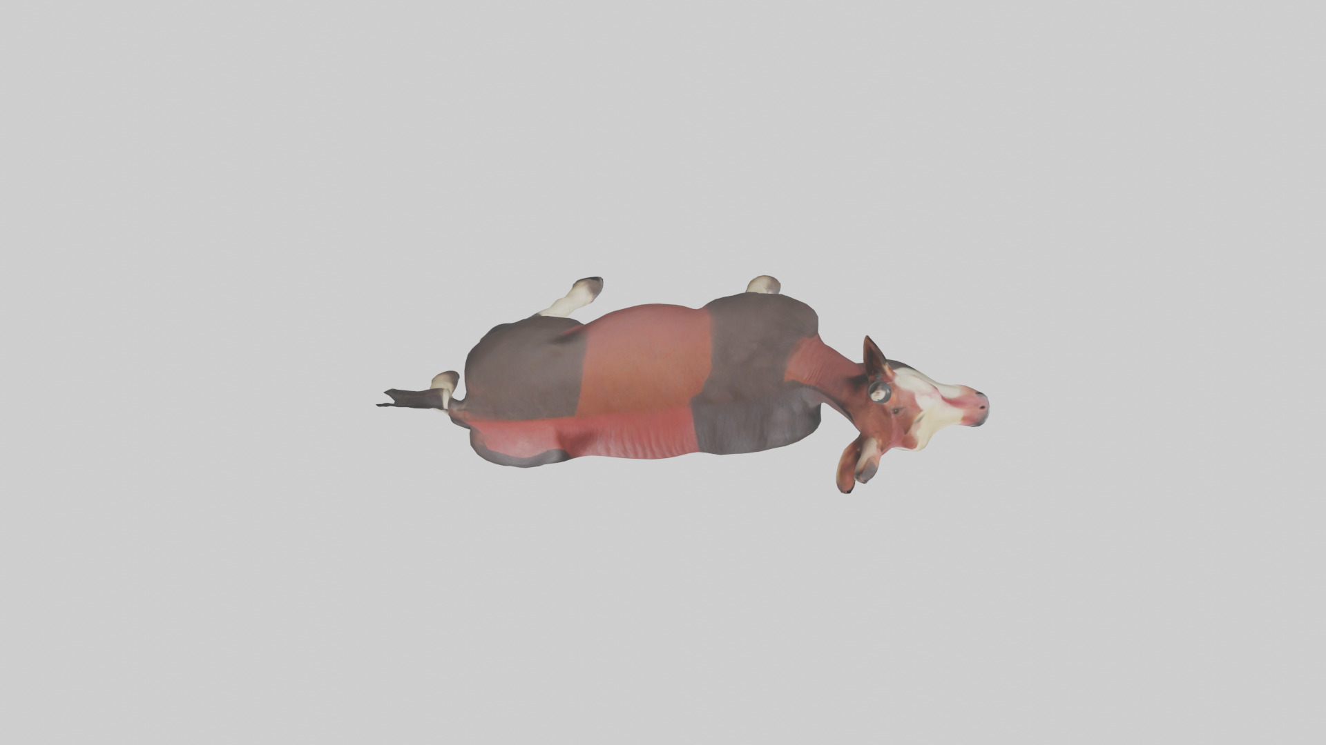 Okapi walking model Low-poly 3D model_14