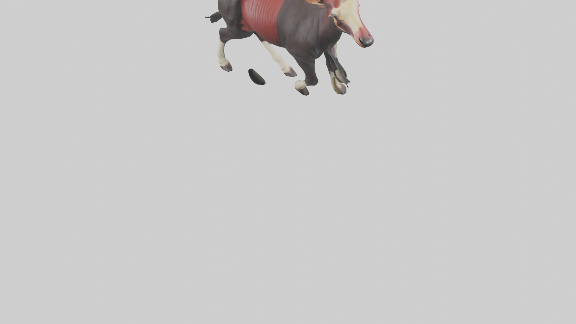 Okapi walking model Low-poly 3D model_5