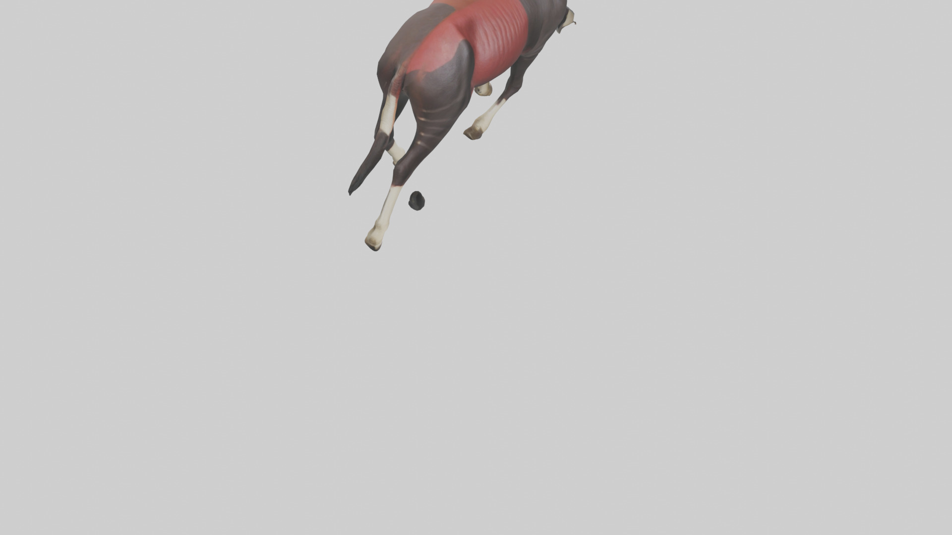 Okapi walking model Low-poly 3D model_6