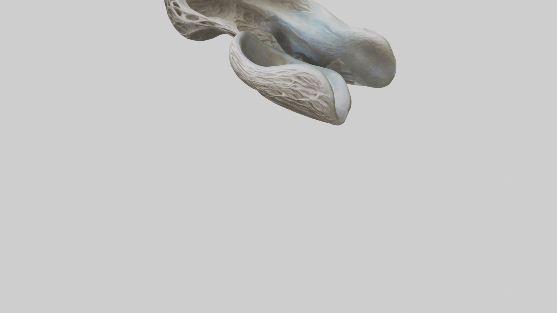 Organic Flow statue model Low-poly 3D model_5