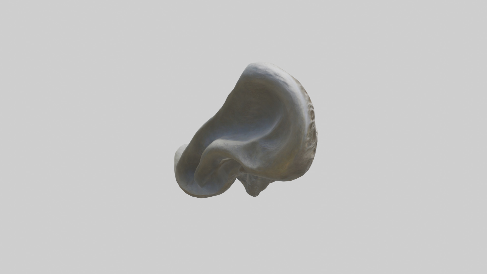 Organic Flow statue model Low-poly 3D model_13