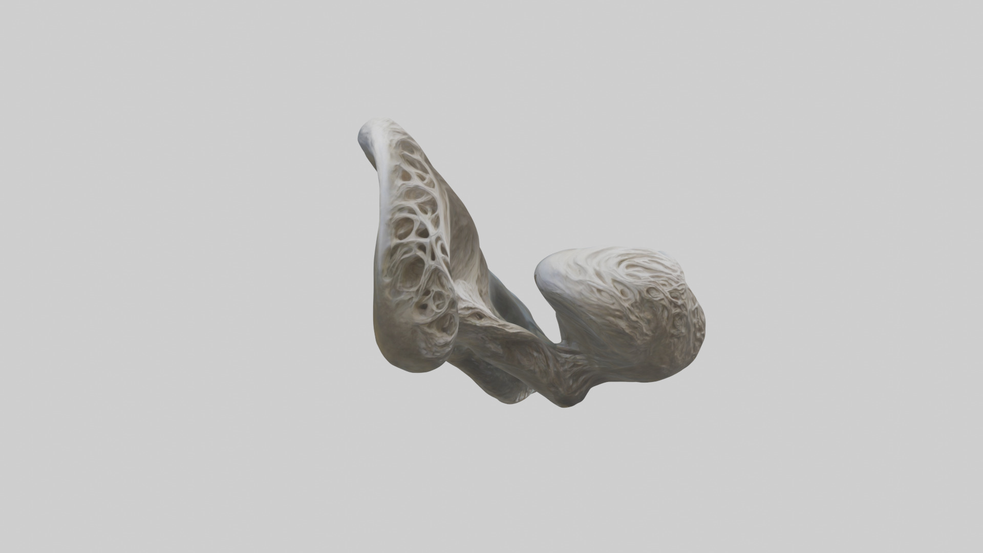 Organic Flow statue model Low-poly 3D model_7