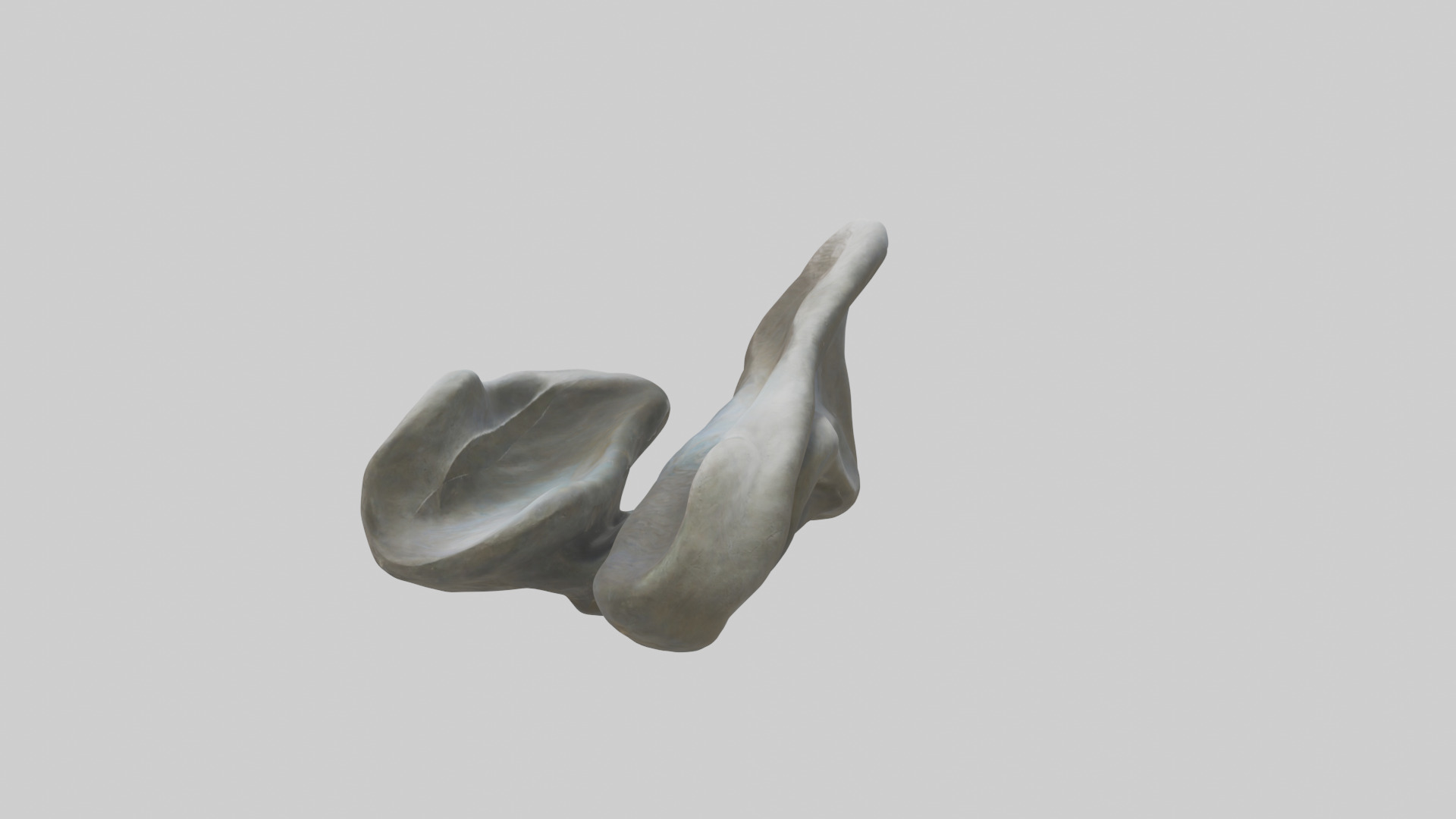 Organic Flow statue model Low-poly 3D model_1