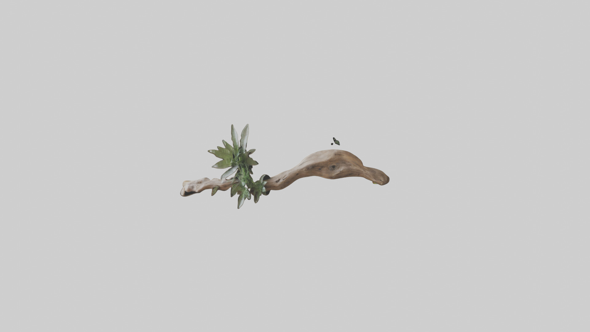 Organic Wall Decor Low-poly 3D model_11
