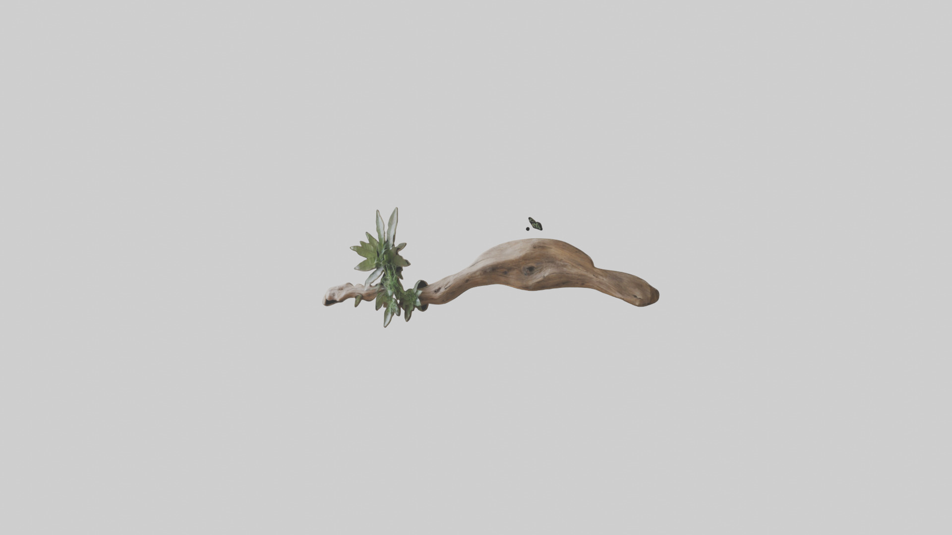 Organic Wall Decor Low-poly 3D model_8