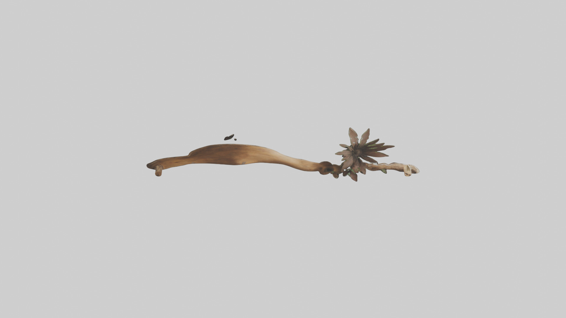 Organic Wall Decor Low-poly 3D model_15