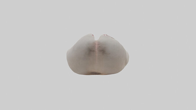 Ostrich Stomach Low-poly 3D model