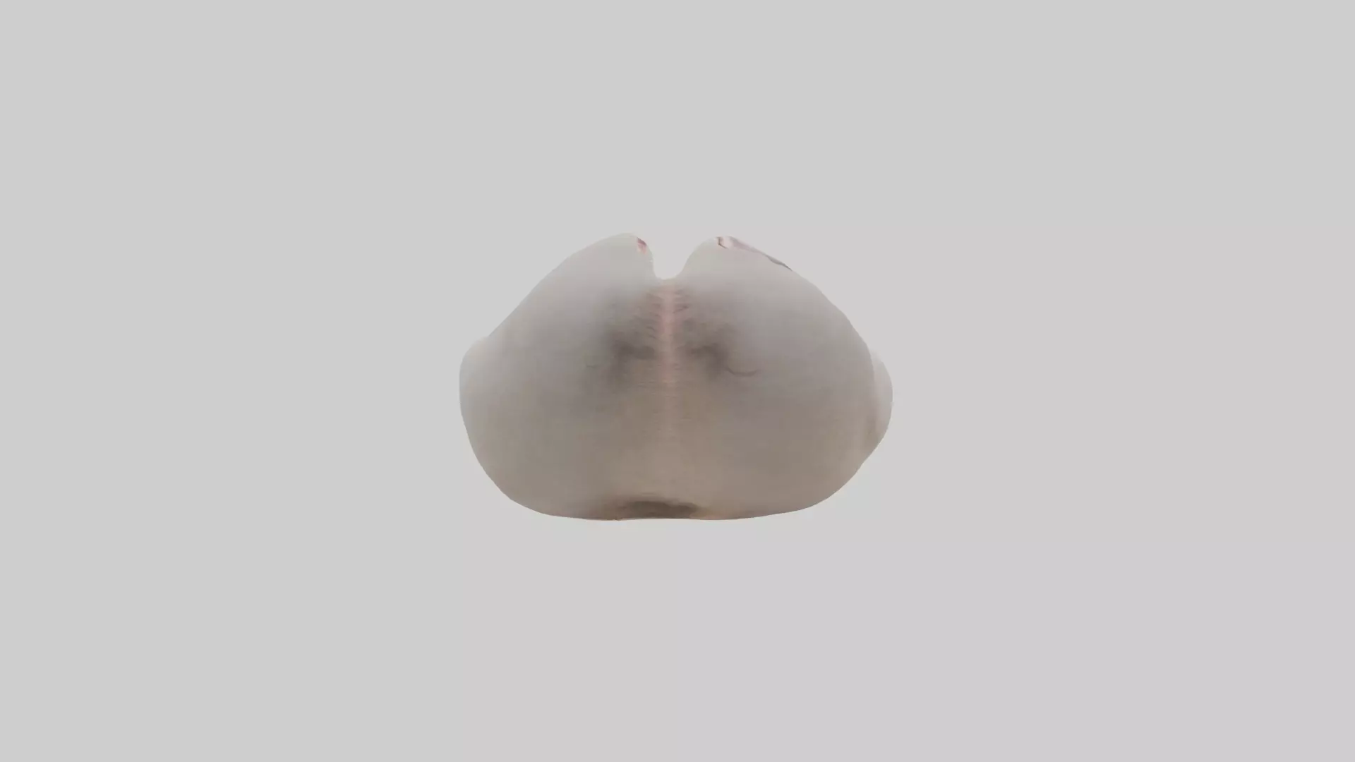 Ostrich Stomach Low-poly 3D model_0