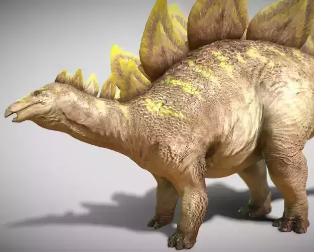 Stegosaurus 2024